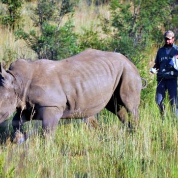 suedafrika-incentivereise-motivents