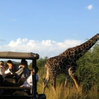 SÜDAFRIKA “A Walk on the Wild side” Social Incentive CSR